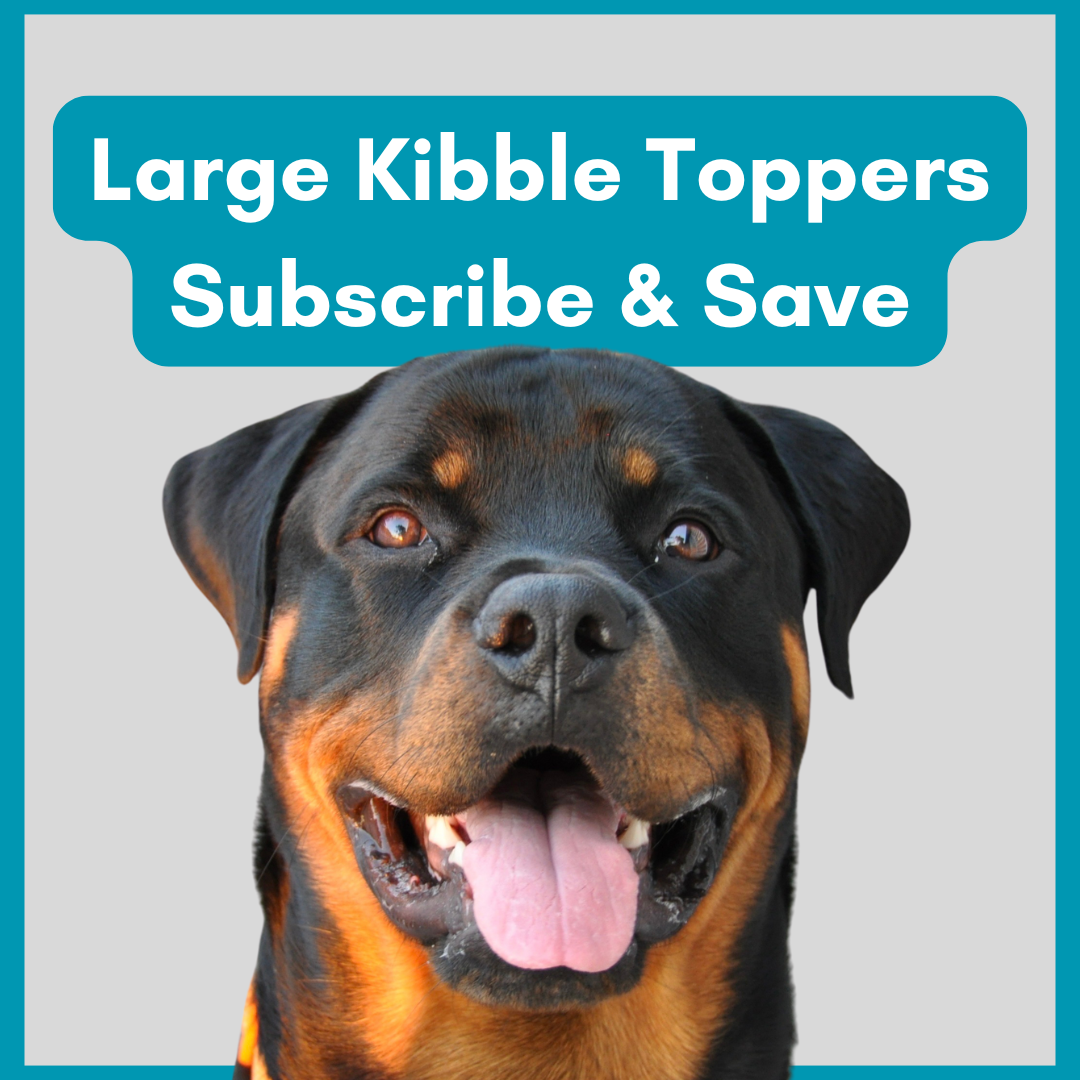 Subscribe & Save: Large Kibble Topper Bundle