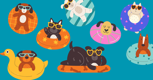Hot Diggity Dog: Tips for Surviving Summer Heat