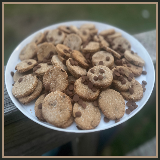 Freshly baked dog treats with carob chips on a plate, a tasty and pet-friendly snack.